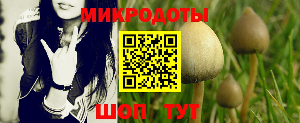 Галлюциногенные грибы Psilocybine cubensis Белебей
